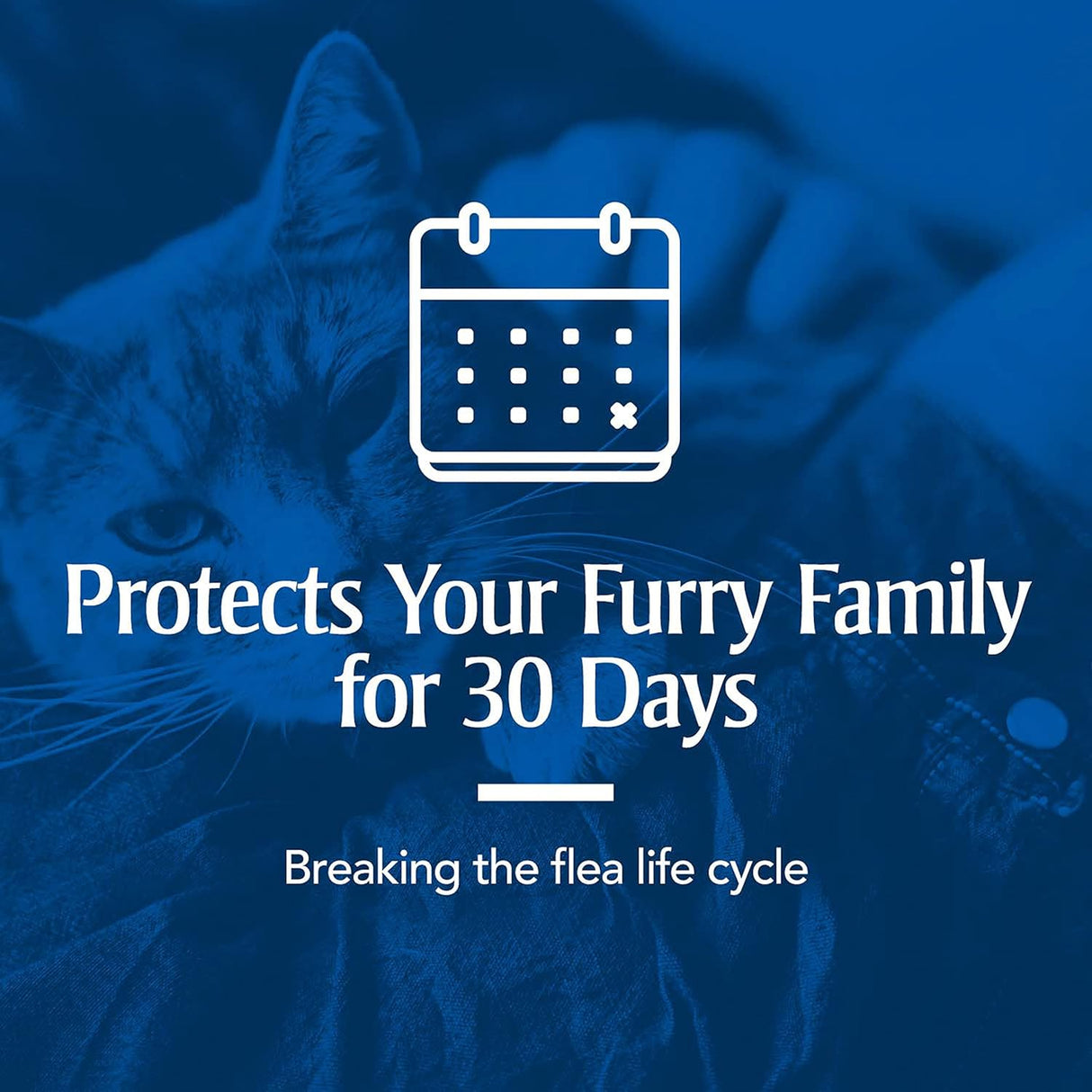 Tratamiento Antipulgas de pulgas y garrapatas para gatos