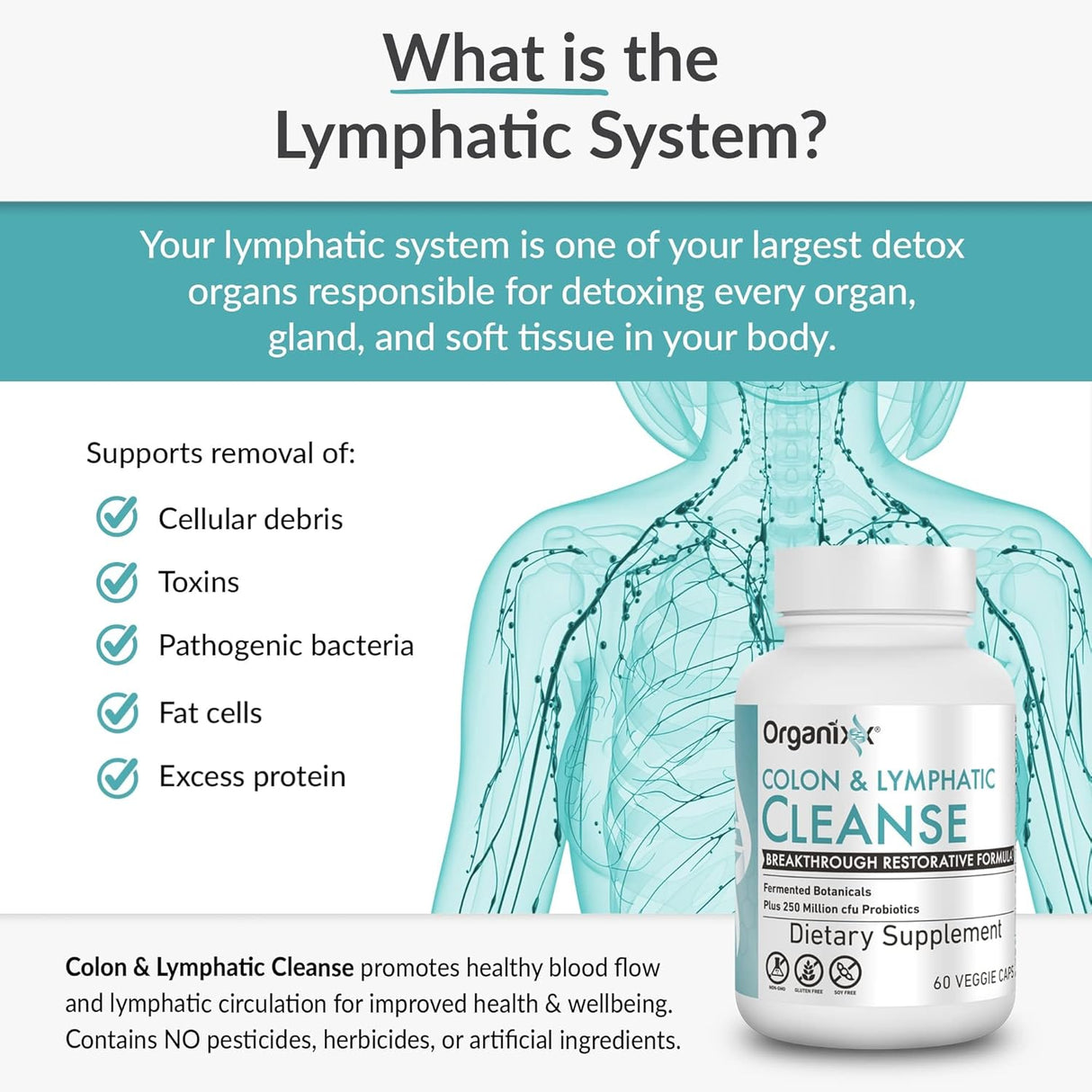 Suplementos de colon y linfáticos cápsula Organixx