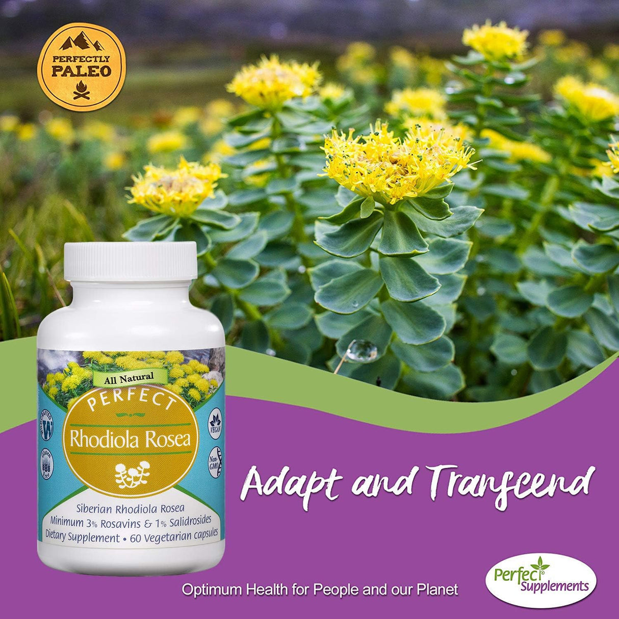 Suplemento Siberiano Rhodiola Rosea Root 60 cap Vegetable