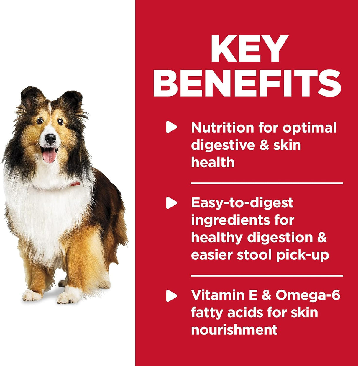 Alimento para Perros estofado de pavo tierno y arroz