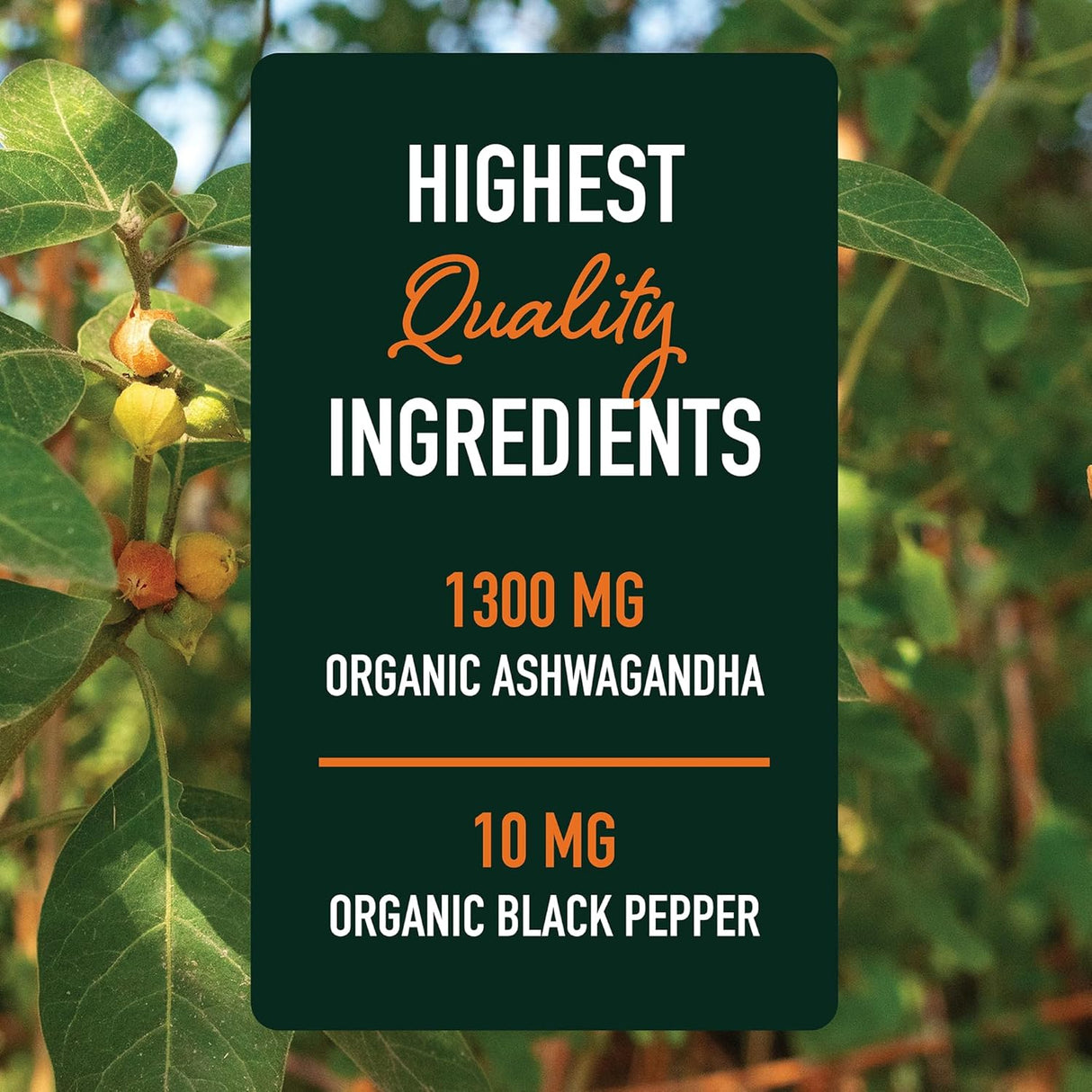 Suplemento Ashwagandha 1300mg, Adaptógeno, 120 cápsulas