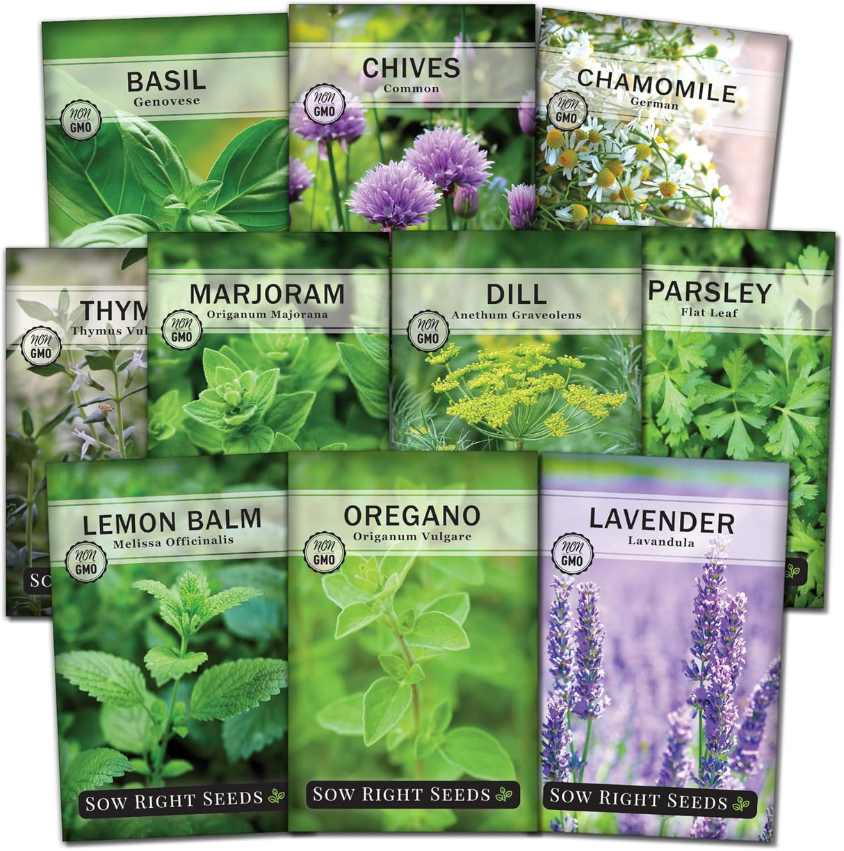 Colección de Semillas de Hierbas - Sow Right Seeds - No GMO