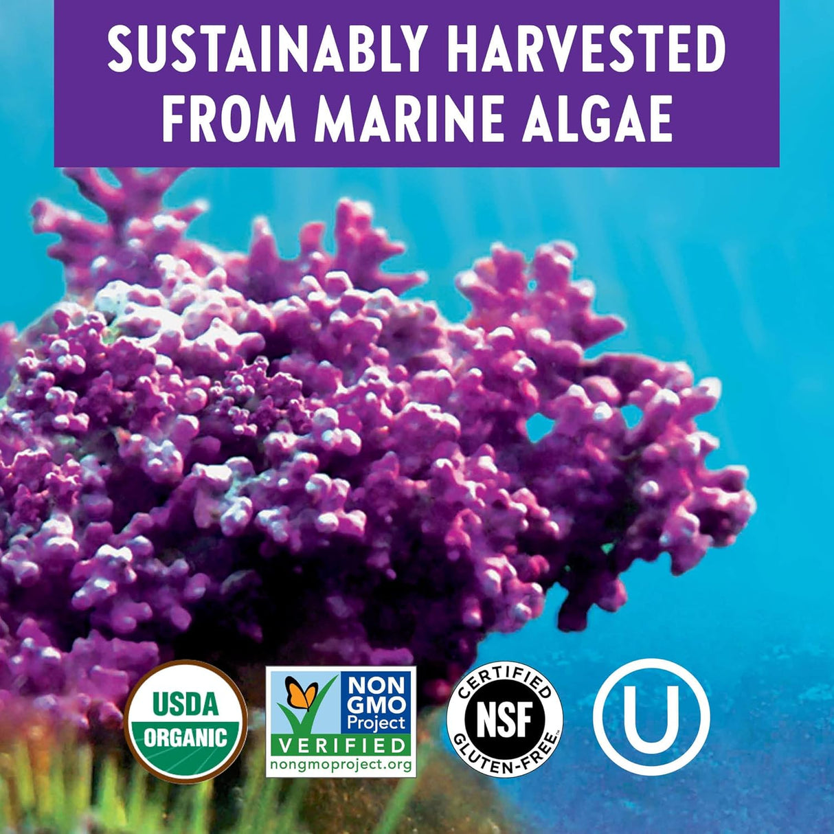 Suplementos Alimenticios de calcio vegetal orgánico