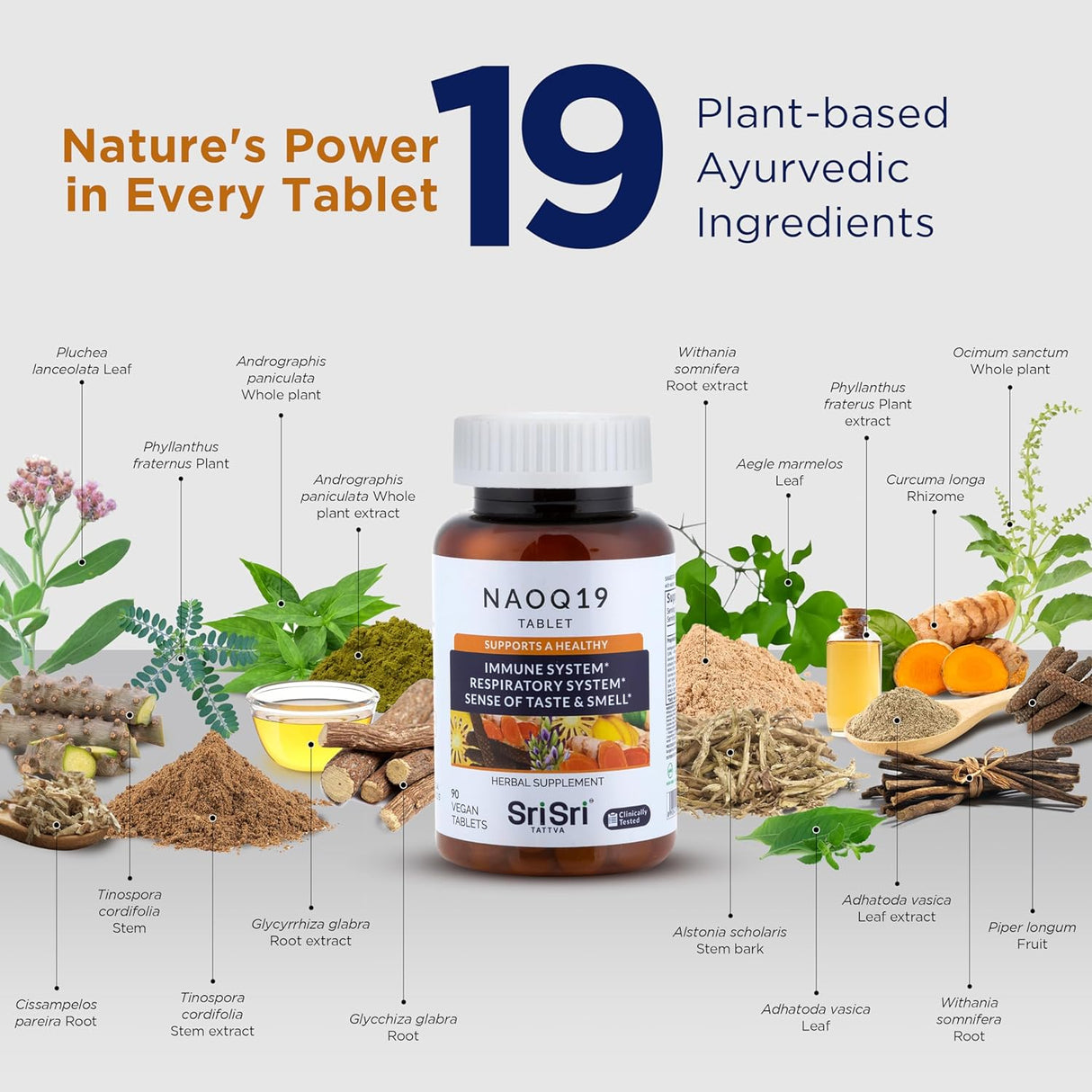 Suplemento Inmunidad Ayurveda con Ashwagandha, Regaliz y Cúrcuma