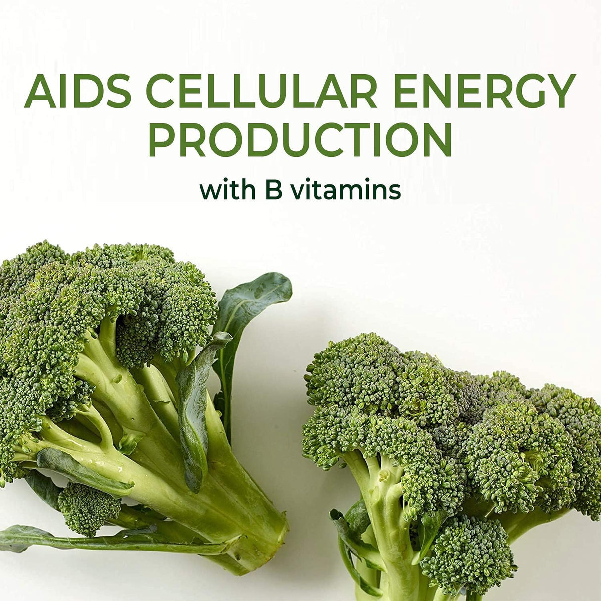 Suplemento complejo de magnesio de alta absorción 500 mg