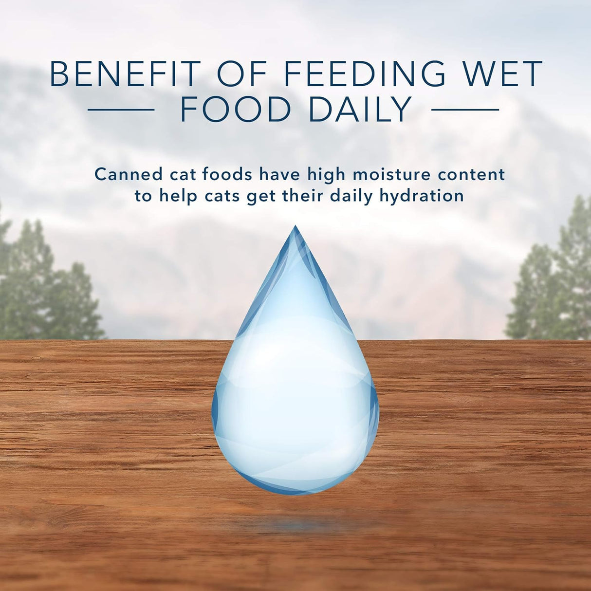 Alimento para Mascota húmedo de paté 12 unidades