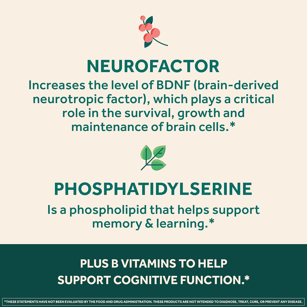 NEURIVA Ultra Decaffeinated Nootropic Brain Supplement, 60 Capsules