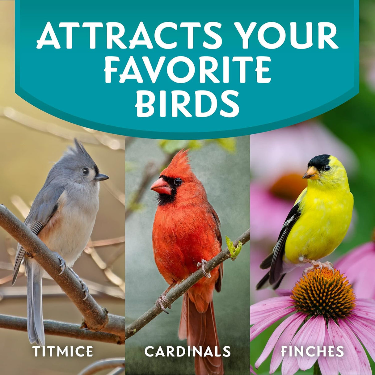 Mañana canción limpio y libre