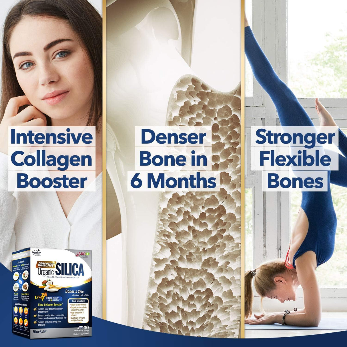 Suplementos Alimenticios bioactiva