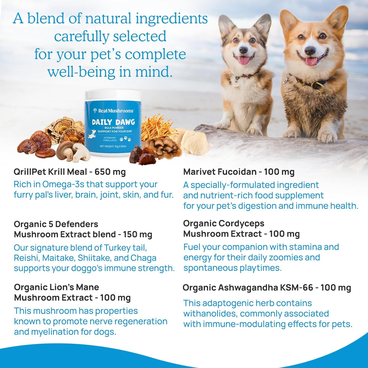 Suplemento en Polvo de Extracto de Hongos para Perros