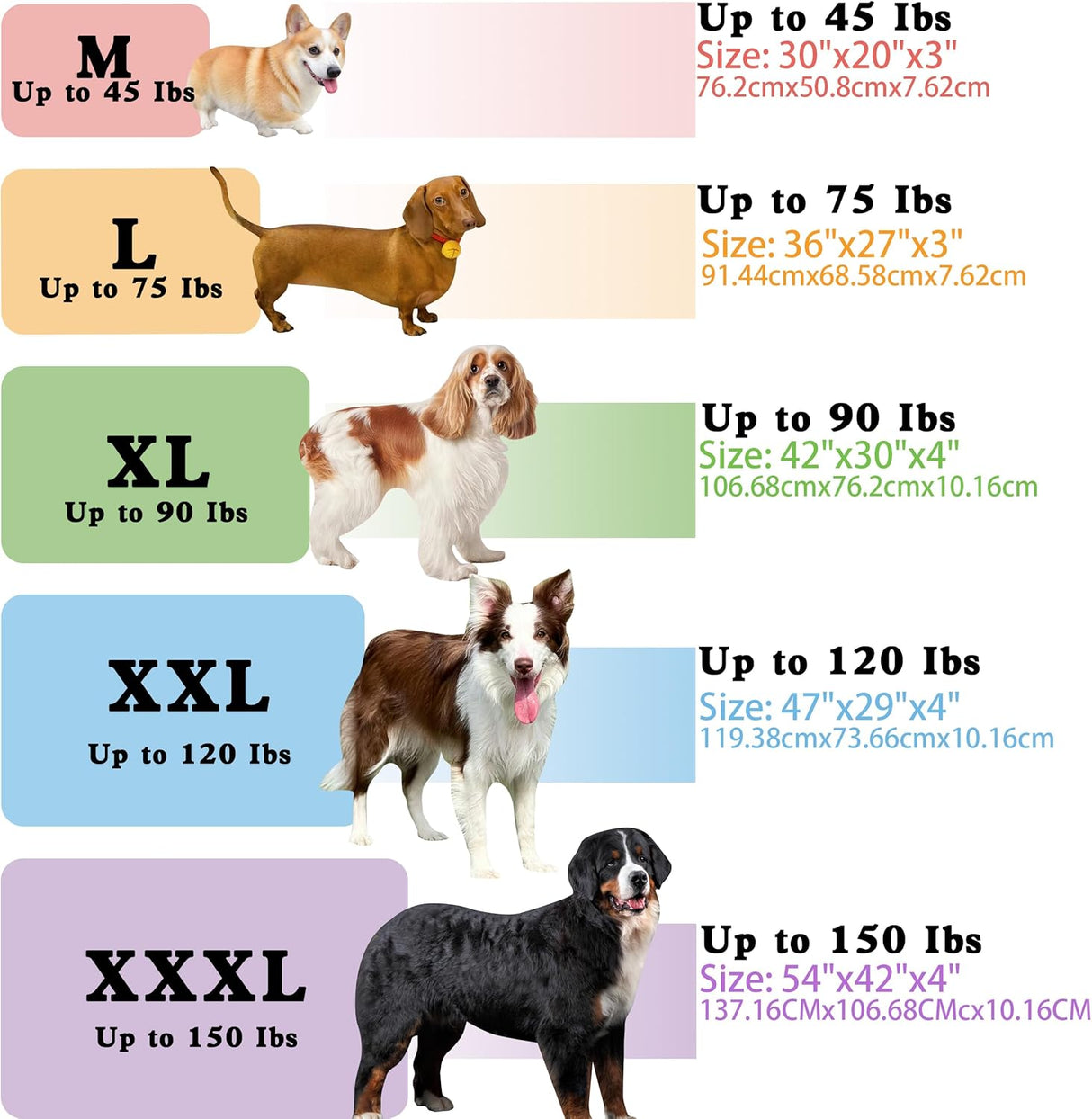 Cama para Perro, Impermeable y Ortopédica, XL 42x30x4