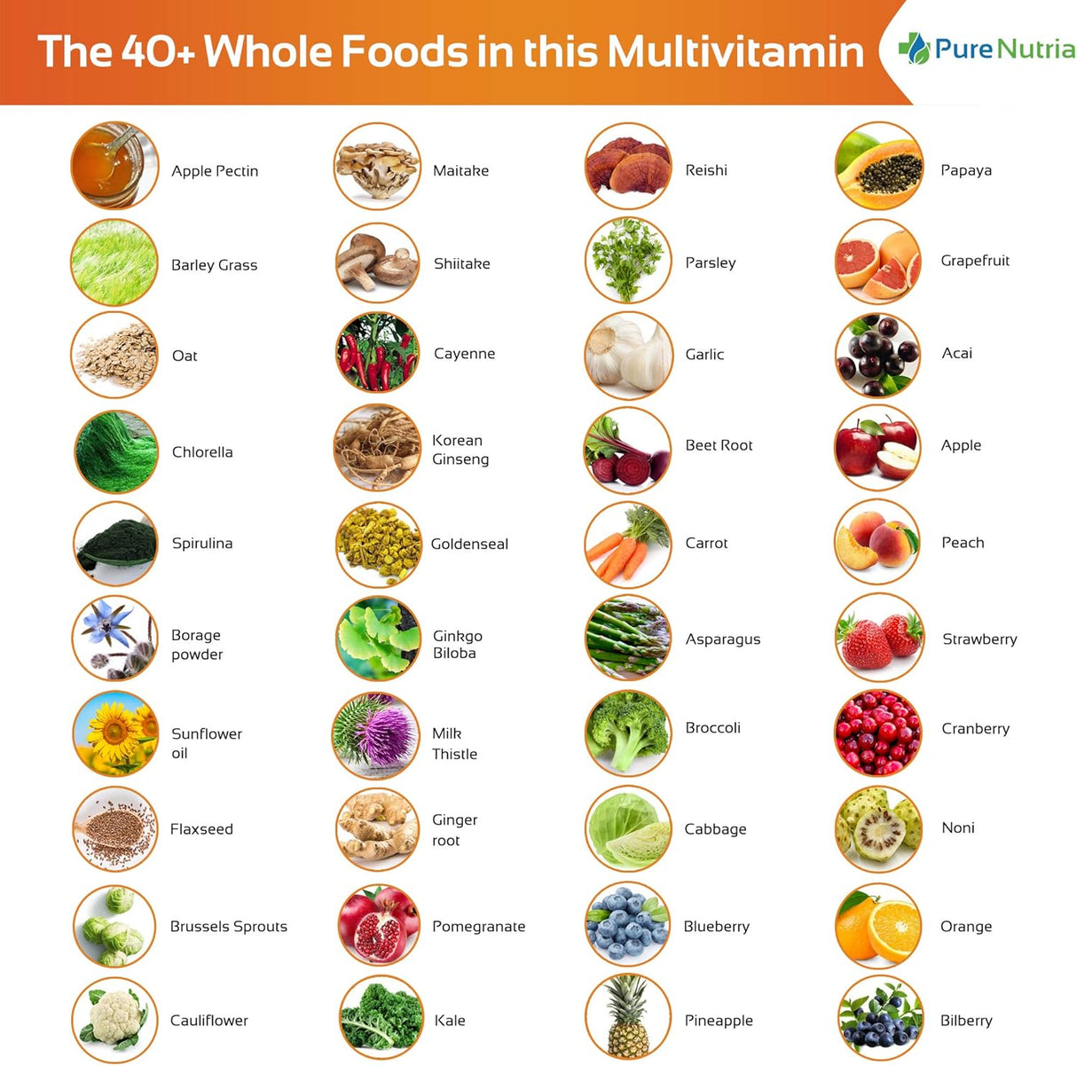 Suplemento Multivitaminas y minerales enzimas probióticas