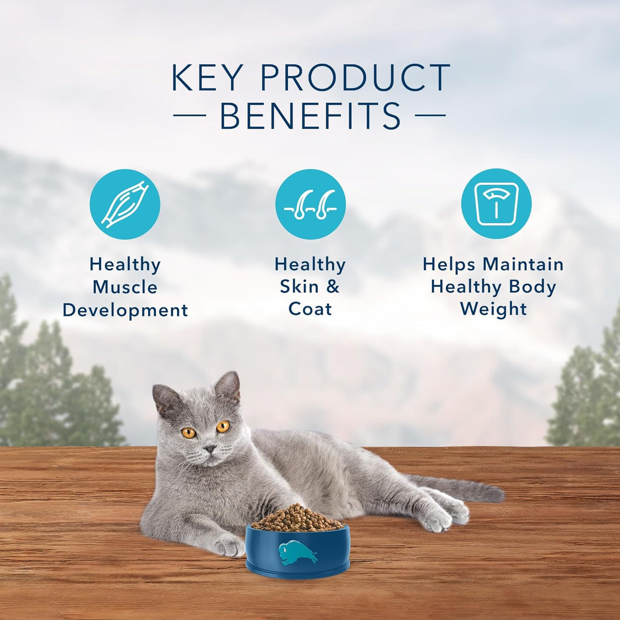 Blue Buffalo Wilderness - Alimento seco natural para gatos adultos con alto contenido en proteínas, pollo de 2 libras