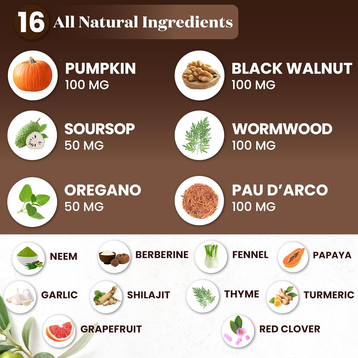 Suplemento limpiador Wormwood Black Walnut 6 oz PAU D'Arco