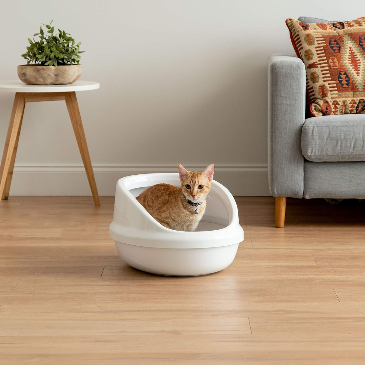 Bandeja grande de arena para gatos con parte superior Modkat