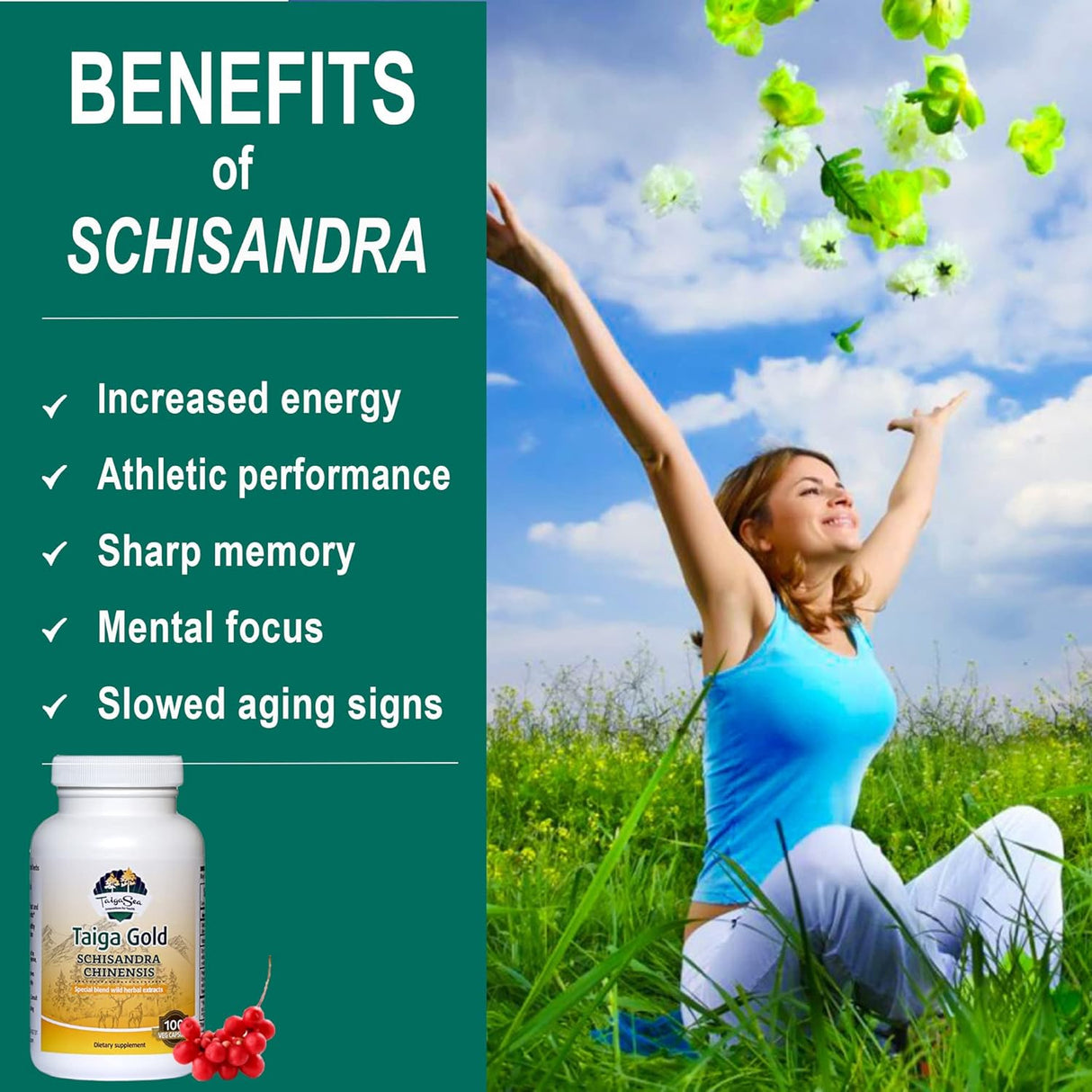 Suplemento Schisandra Chinensis hierbas siberianas silvestre