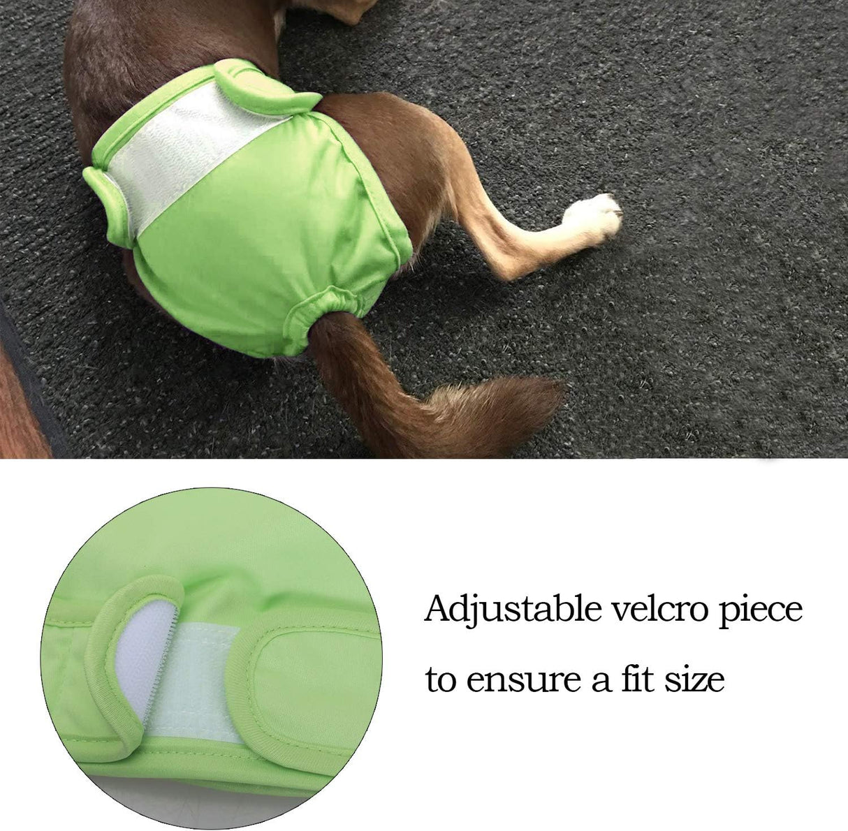 Teamoy – Pañales lavables para perros hembras súper absorbentes y cómodos