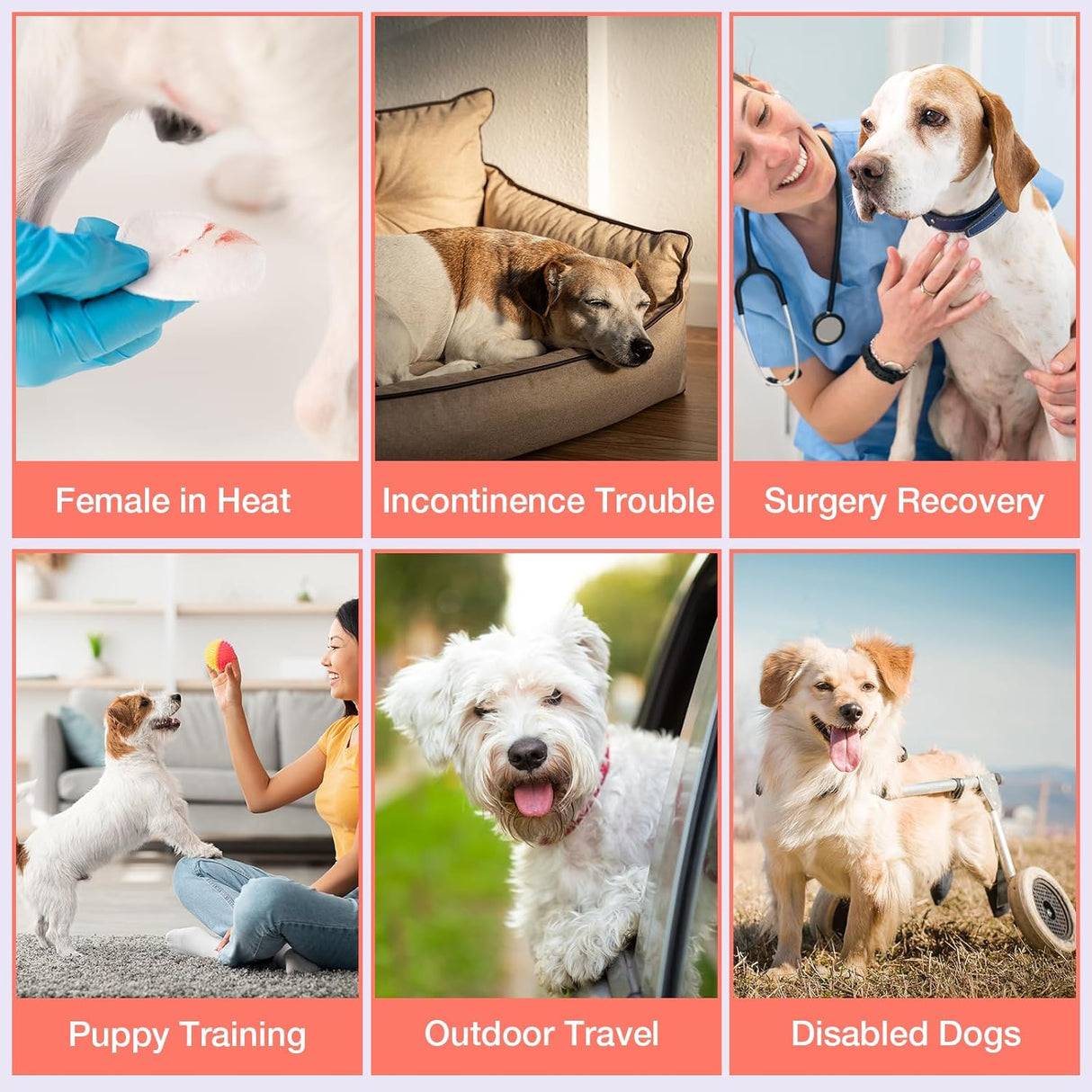 Pet Soft Pañales para perras – Paquete de 3 pañales lavables estilo