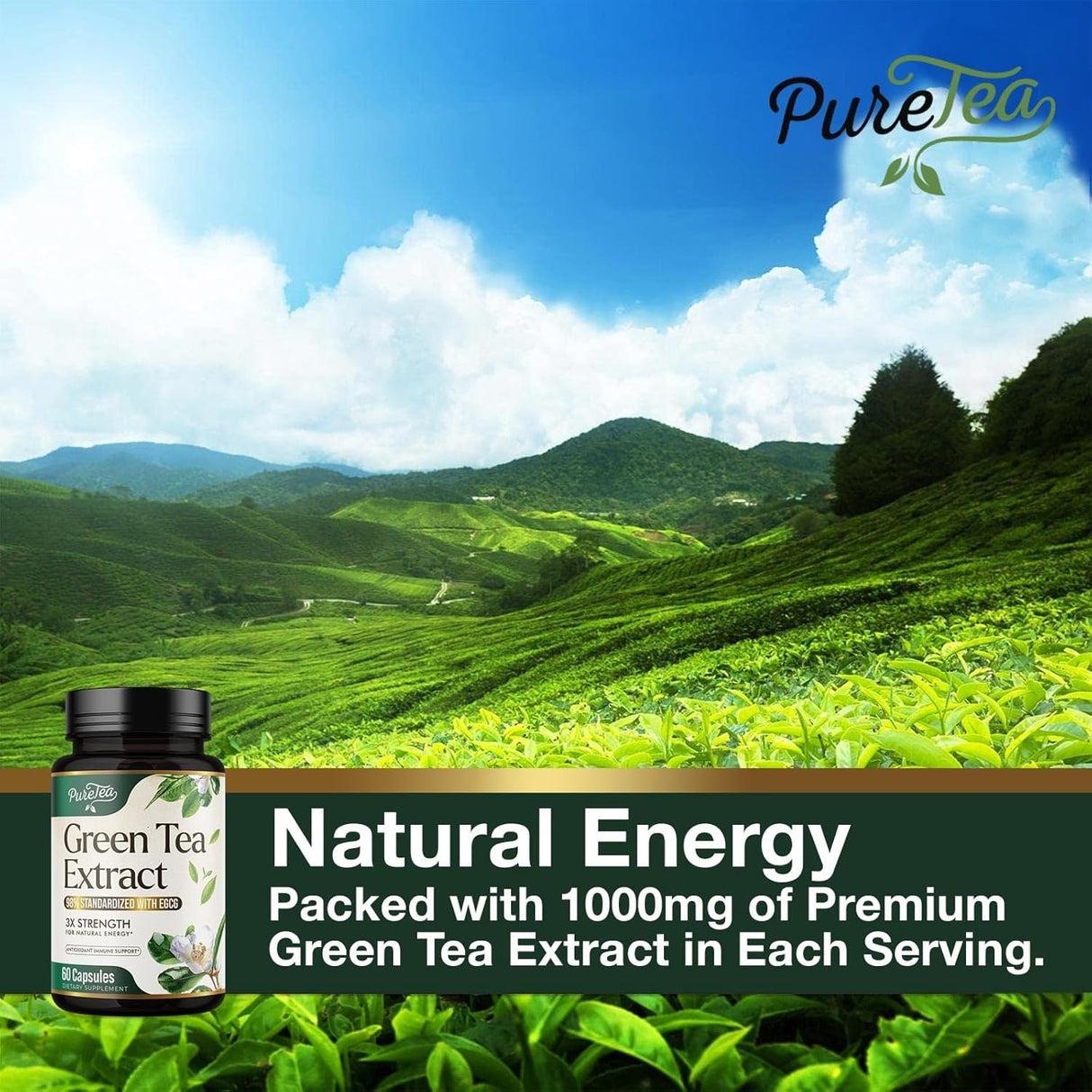 Suplemento Píldoras de extracto de té verde de 1000 mg