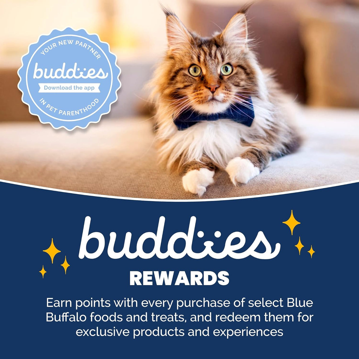 Blue Buffalo Comida para gatos, receta natural de pollo, Wilderness alta en proteínas, alimento seco para gatos adultos, bolsa de 12 libras