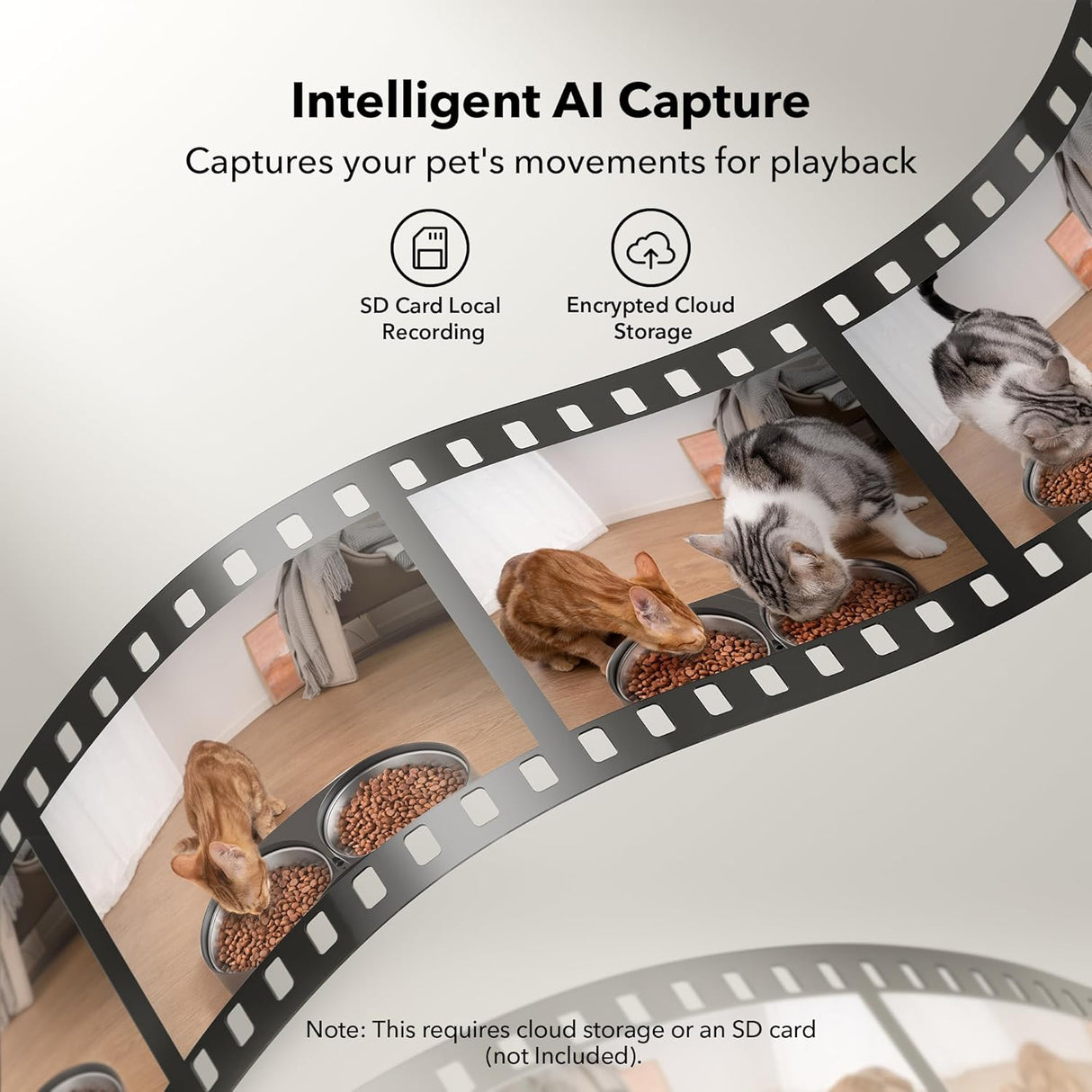 Comedero automático para gatos con cámara PLAF203 PETLIBRO