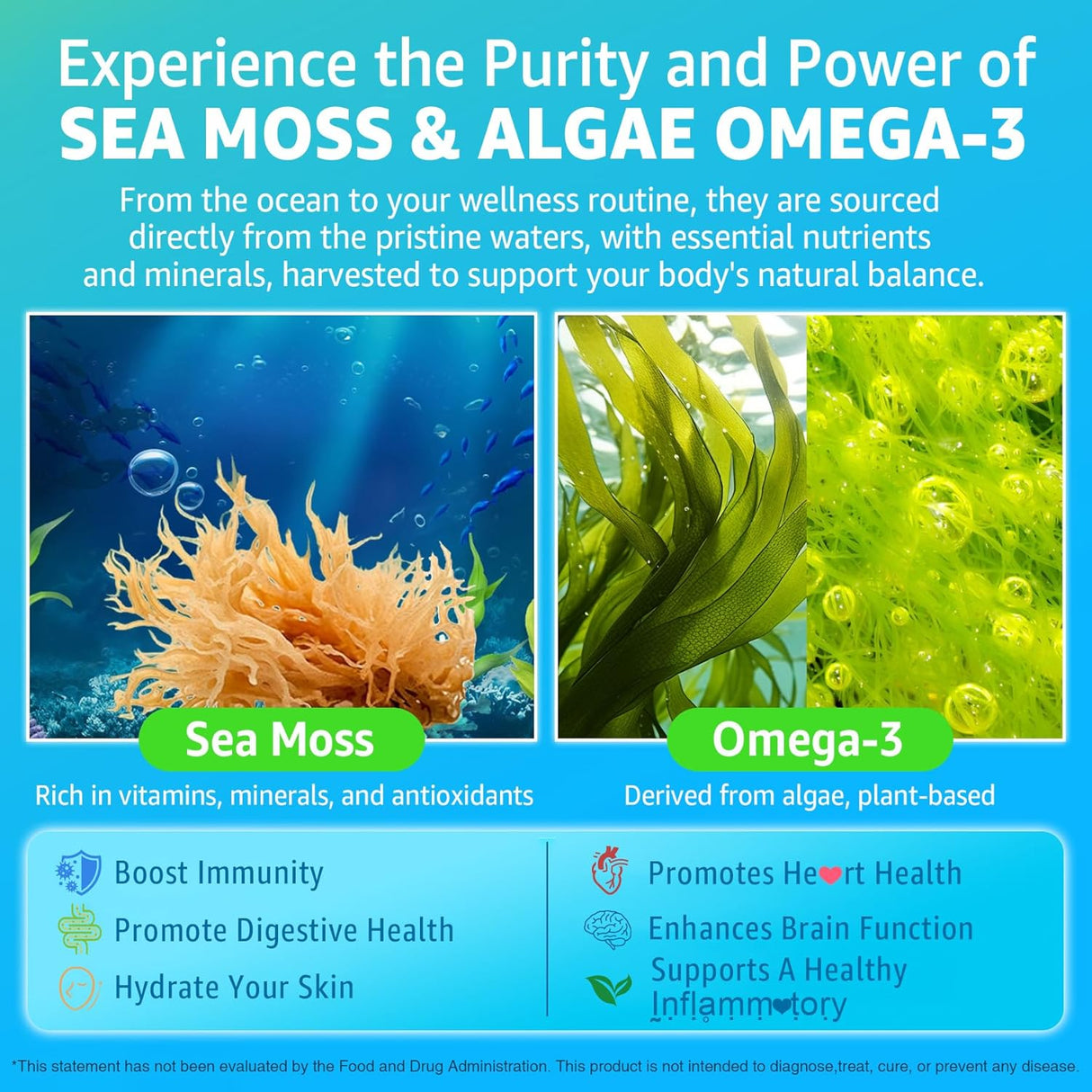 Gominolas de Sea Moss + Omega-3 Vegan USA Orgánico 120 Cts