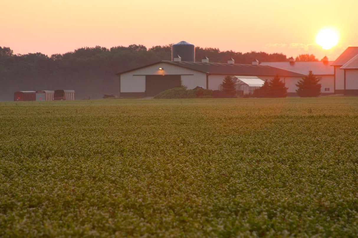 Suplementos Alimenticios con Citrato de Magnesio