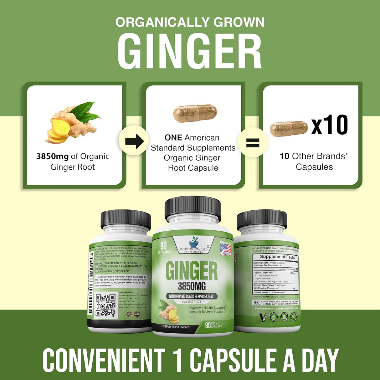 Suplemento orgánicas de raíz de jengibre de 3850 mg 90 und