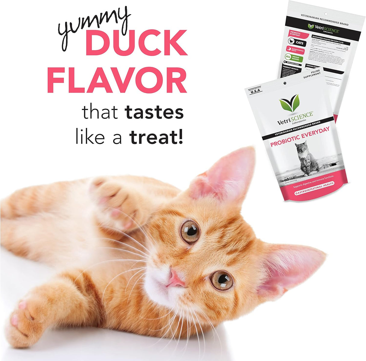 Suplementos Probiótico diario para gatos