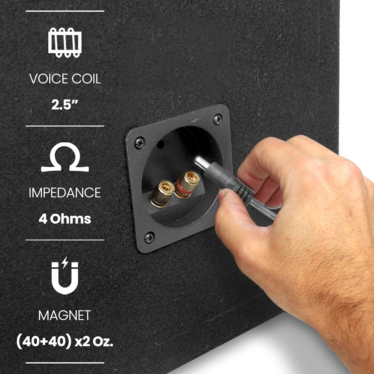 Parlante de caja de subwoofer dual PYLE PLSQ210BS