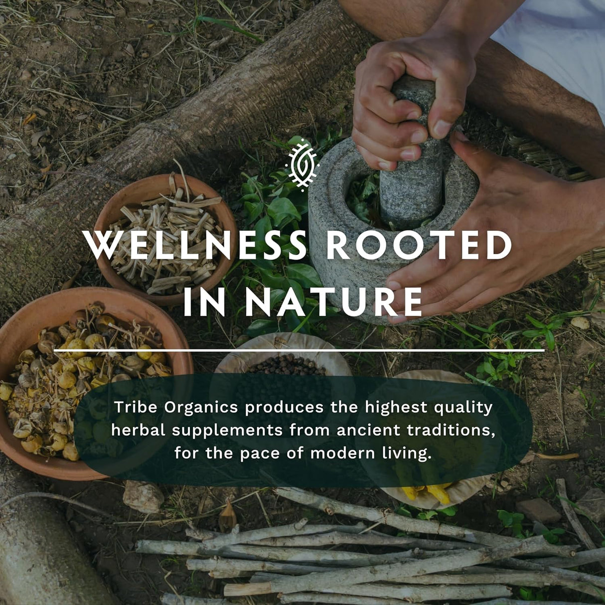 Suplemento Boswellia Serrata Complejo para Articulaciones y Músculos