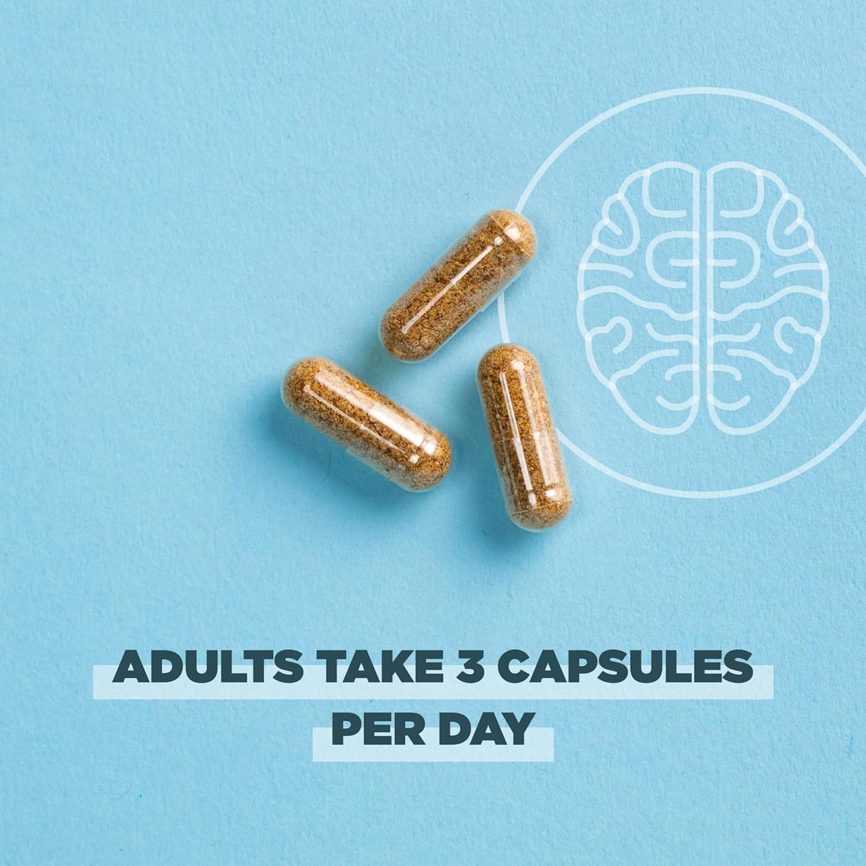 Cápsulas Cerebrales Orgánicas con Ginkgo y Melena de León