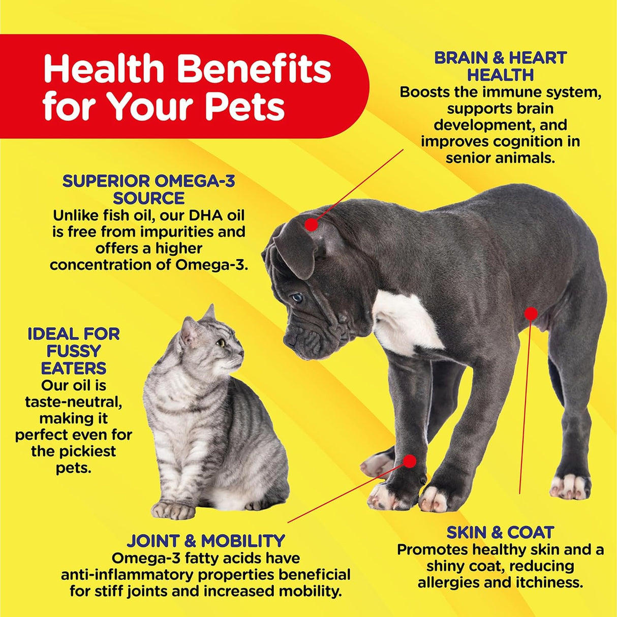 Aceite puro vegano Omega 3 para perros y gatos - Omega 3