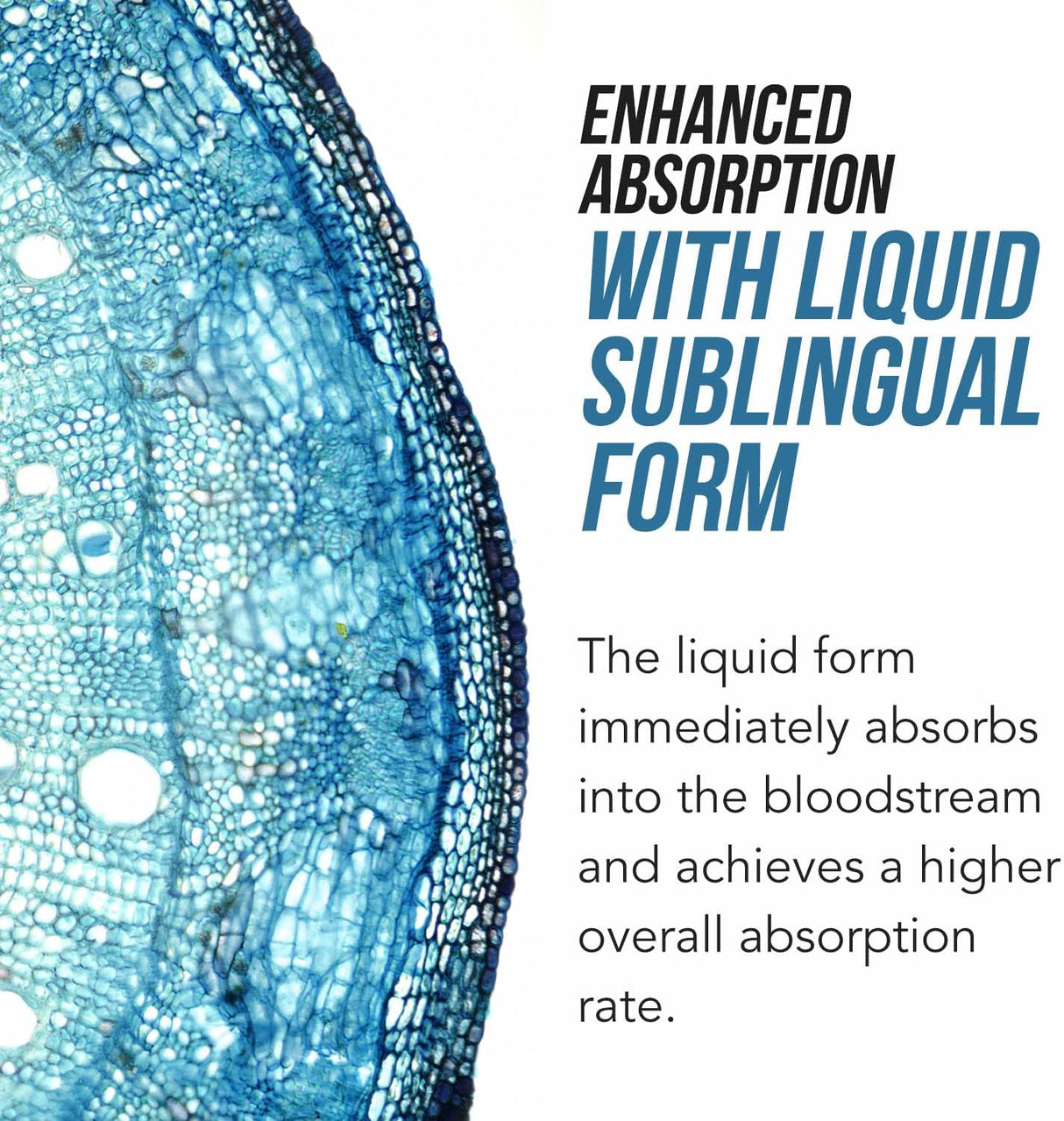 Folato de metilo orgánico 1000 mcg + B12, forma líquida sublingual