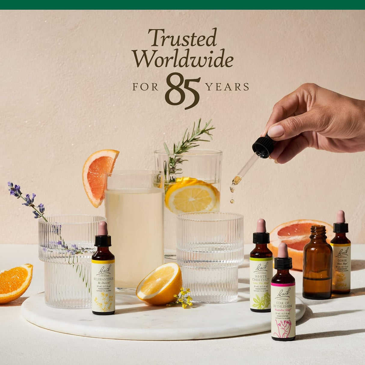 Esencia floral homeopática natural bienestar holístico