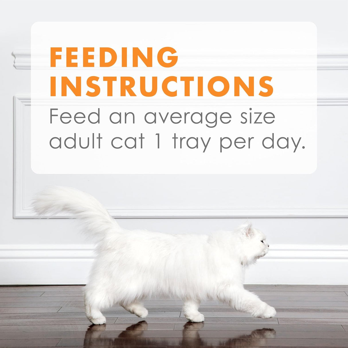 Alimento de Complemento de comida húmeda para gatos adultos