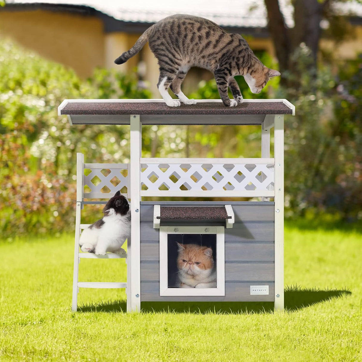Casas de techo duraderas para gatos al aire libre resistente