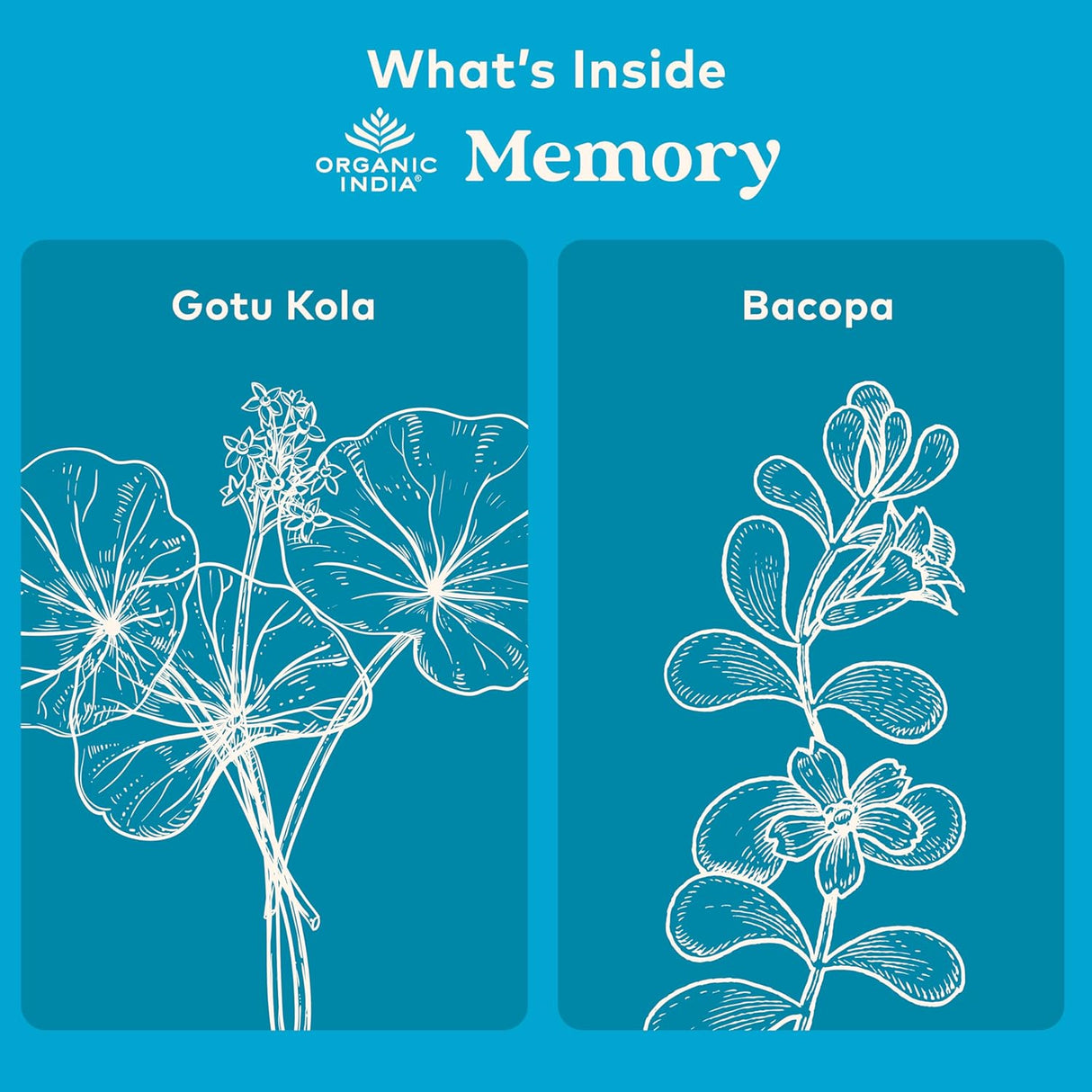 Suplemento de Hierbas para la Memoria: Claro Mental, Vegano