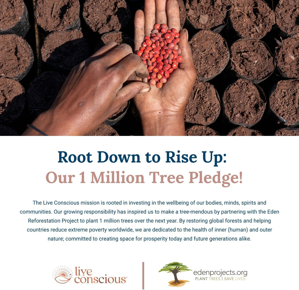 Suplemento Live Conscious Beyond Greens Superfood Powder