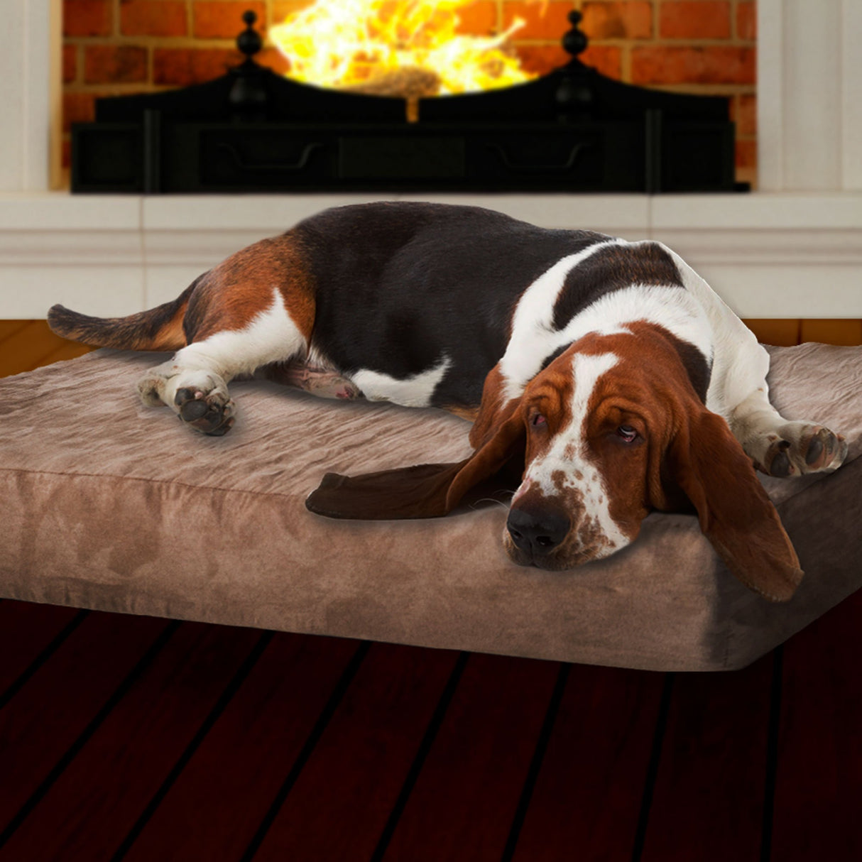 Cama para perros con espuma extraíble