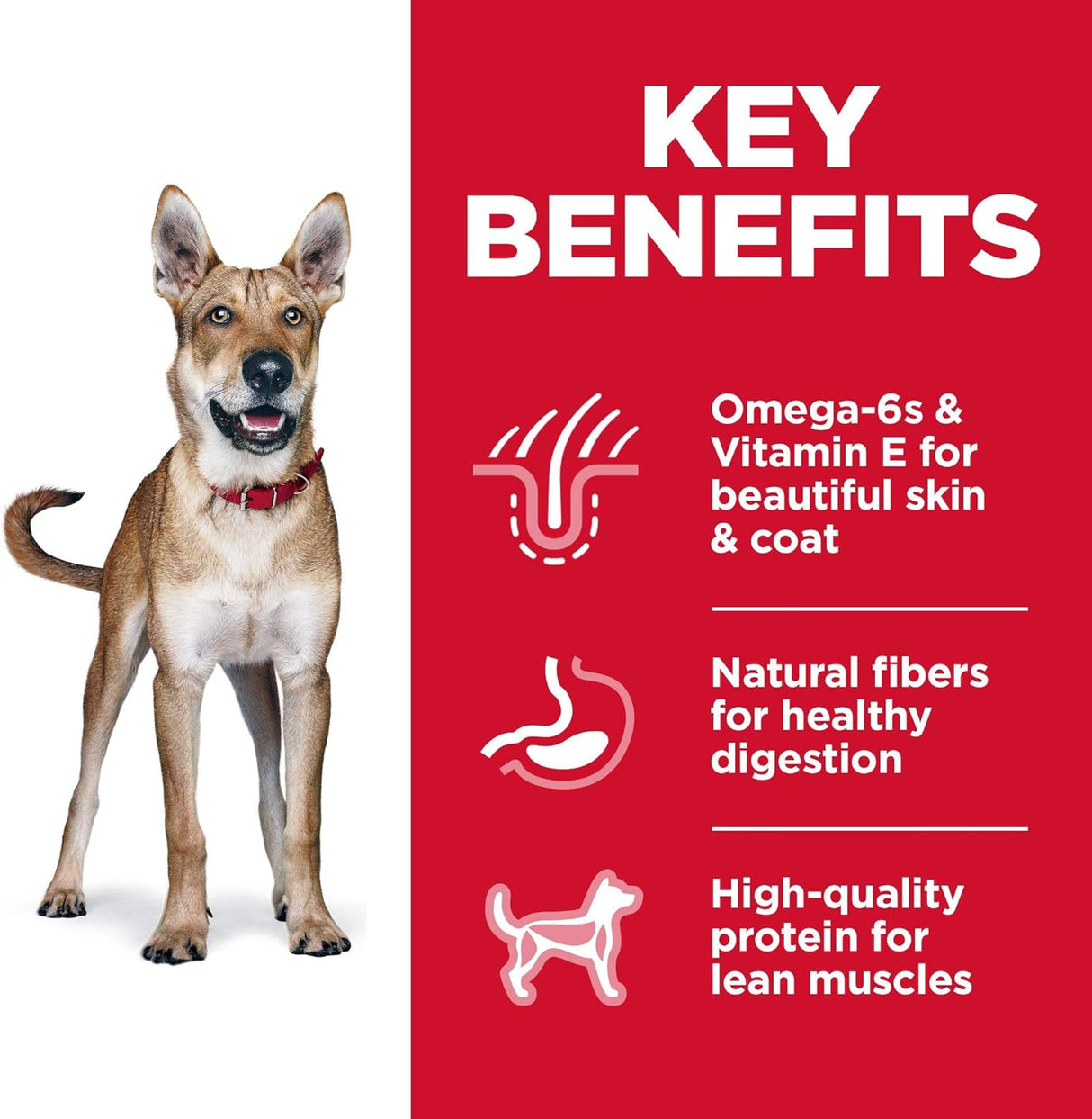 Alimento seco para perros de pollo y cebada