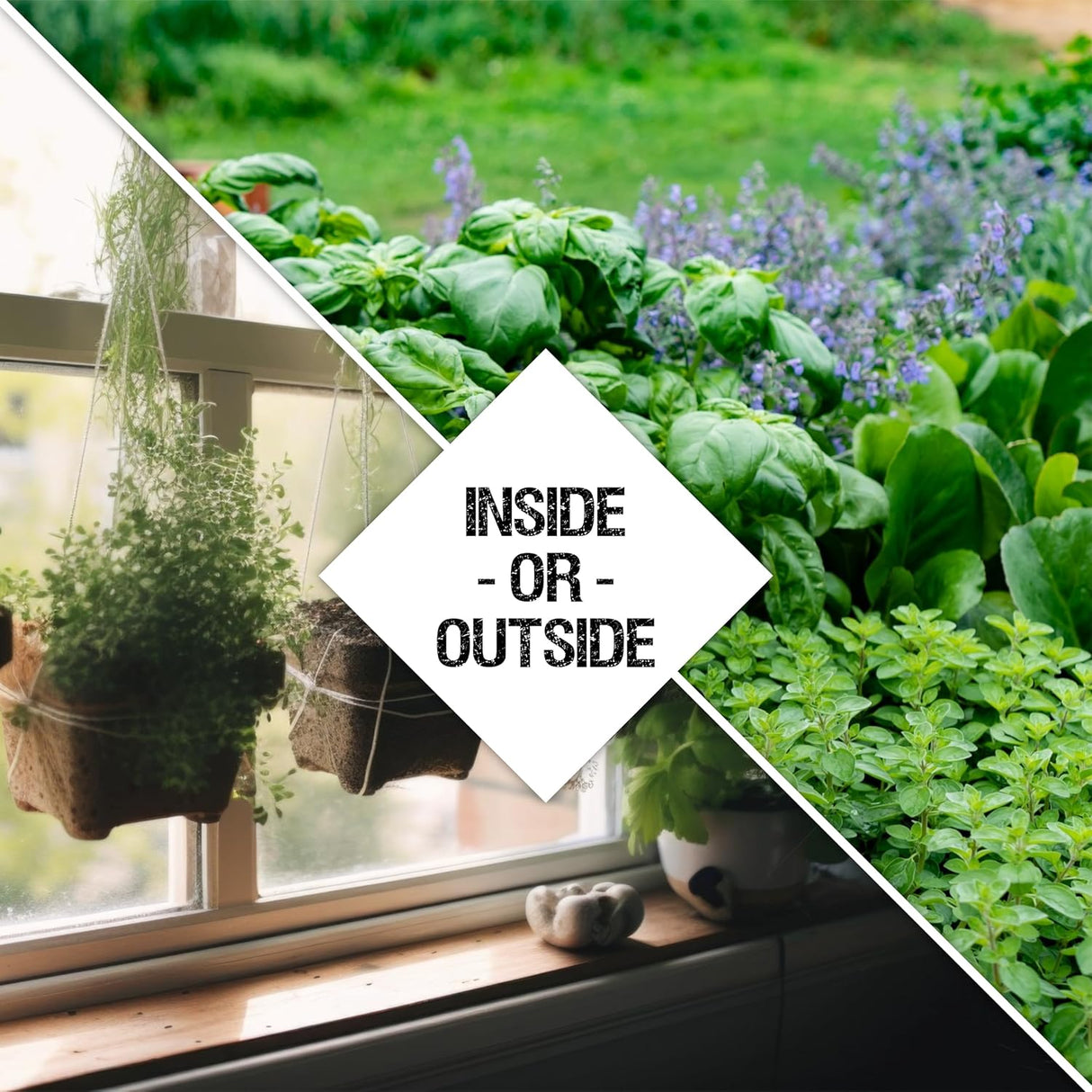 Paquete de Semillas de Hierbas, Seed Needs, 12 variedades orgánicas