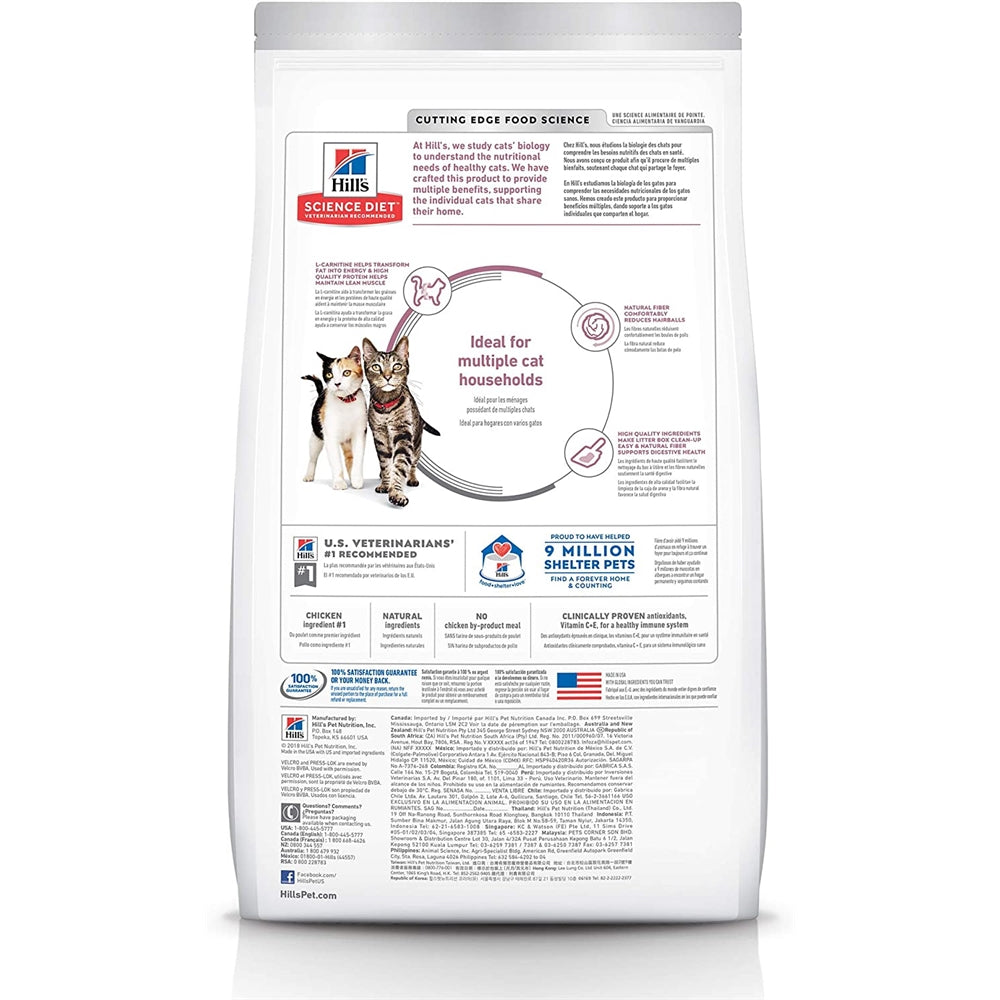 Alimento seco para gatos, adulto, receta de pollo