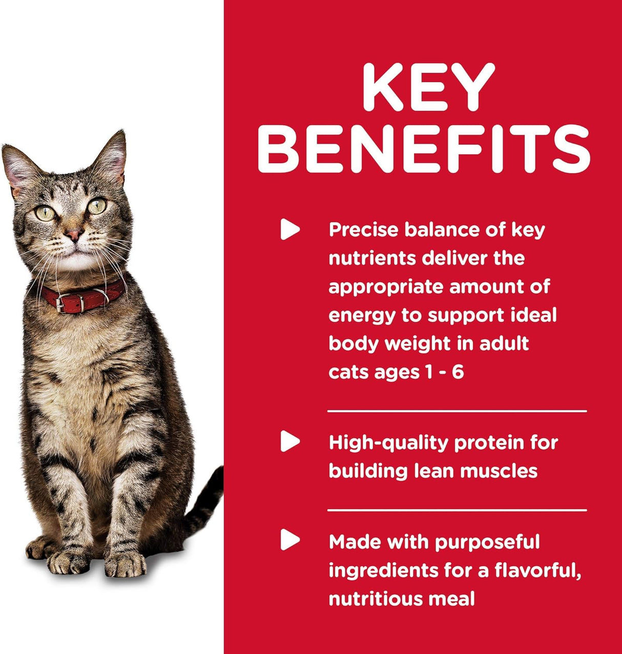 Alimento húmedo para gatos receta de salmón sabroso