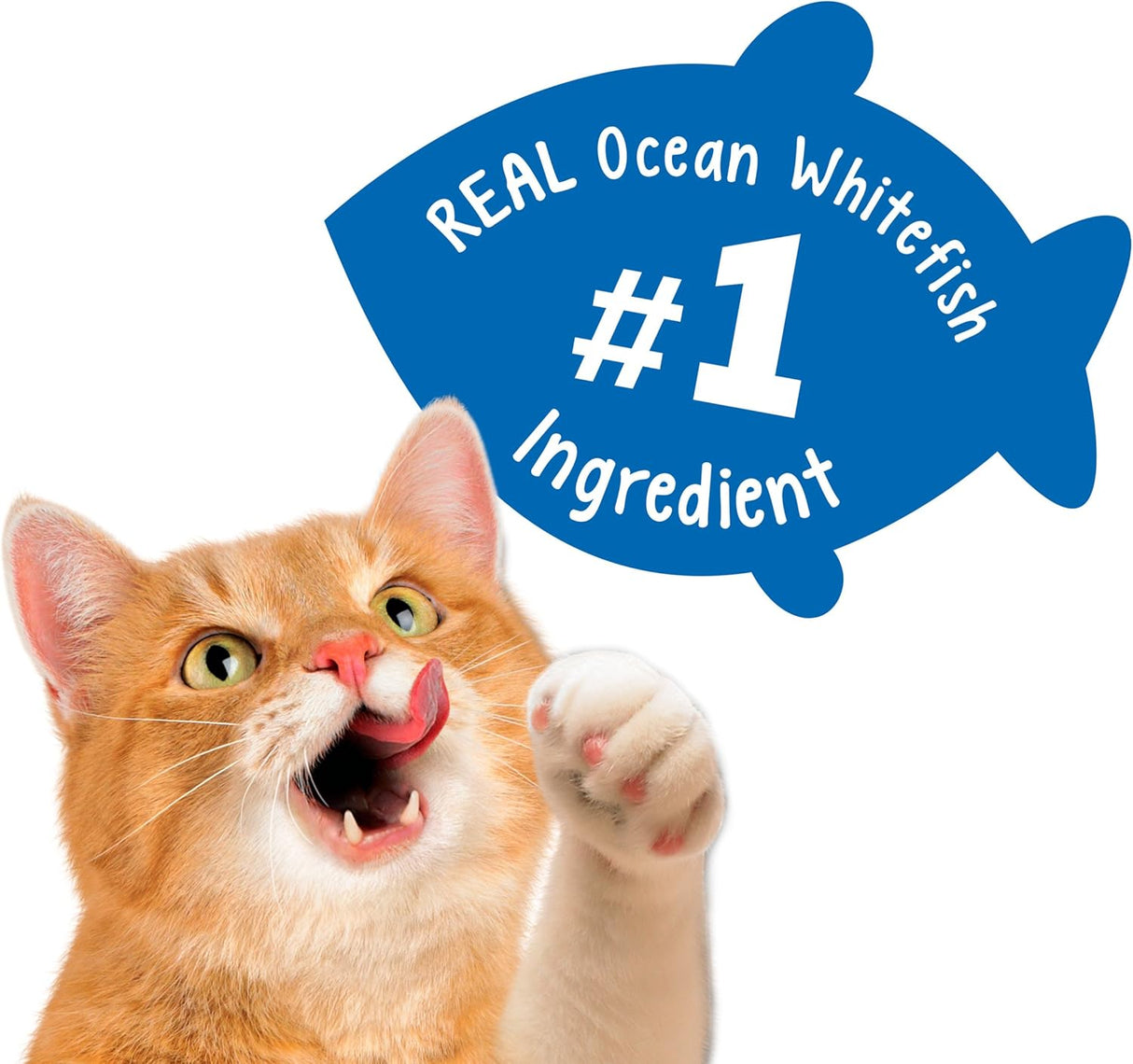 Golosinas para gatos mezcla de fiesta para la playa