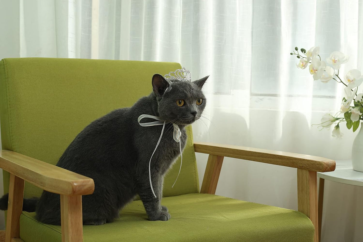 Disfraces para Perro talla única