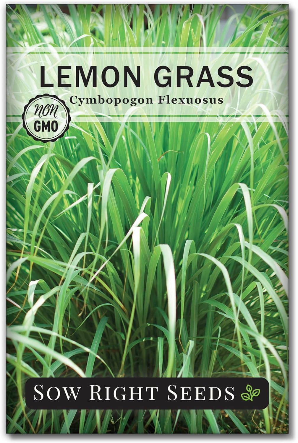 Semillas de Lemongrass - Sow Right Seeds - No GMO, Heirloom