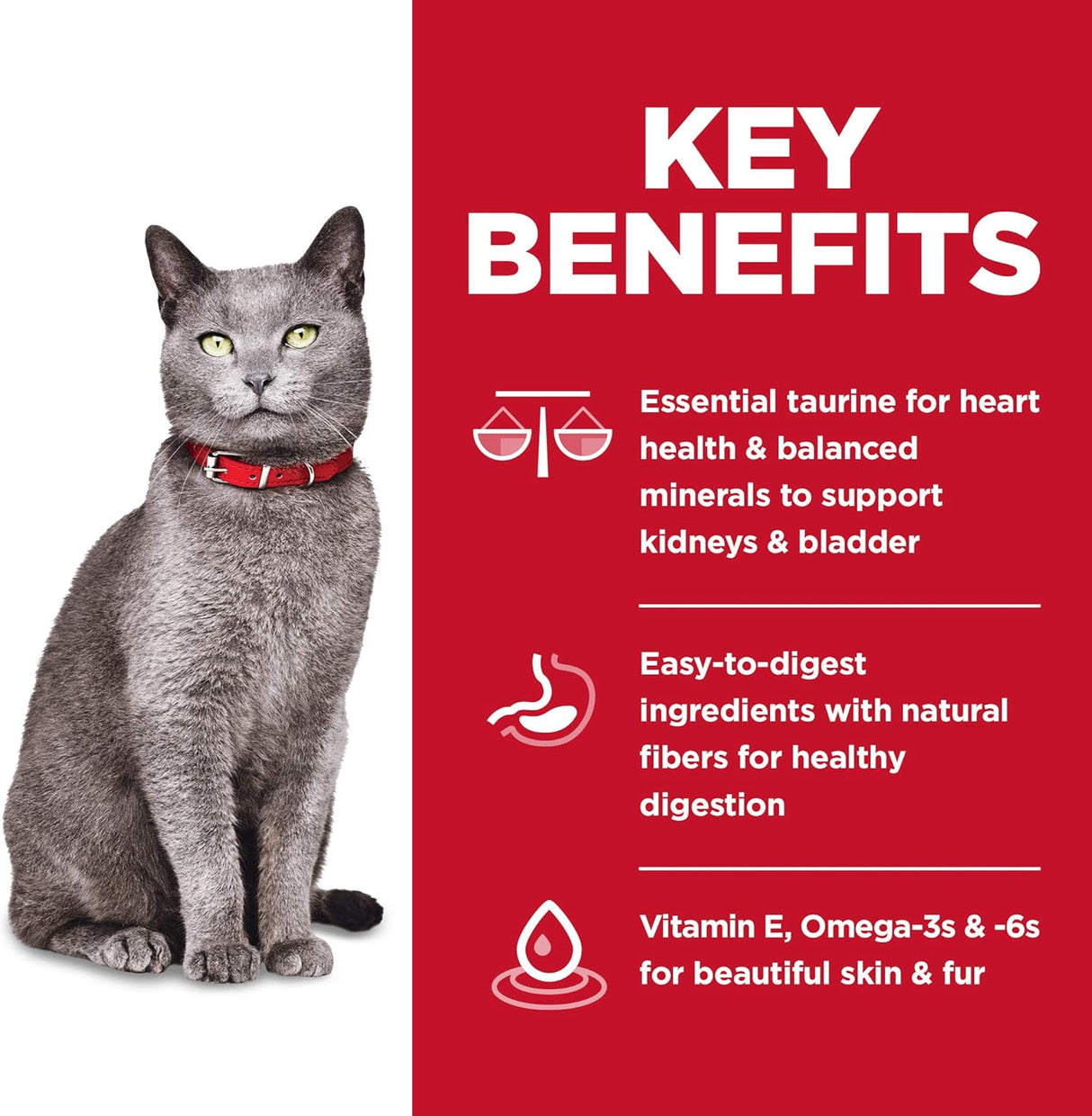 Alimento seco para gatos sin maíz trigo o soja de pollo