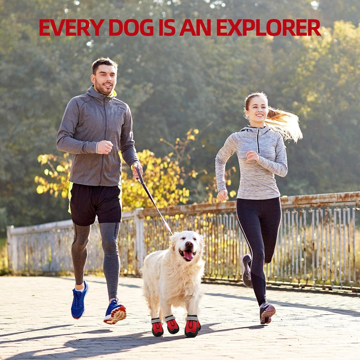 Hcpet Botas de perro transpirables para pavimento caliente, botines de perro resistentes al calor con correas reflectantes, protectores de patas para cachorros al aire libre con suela de goma para senderismo y correr