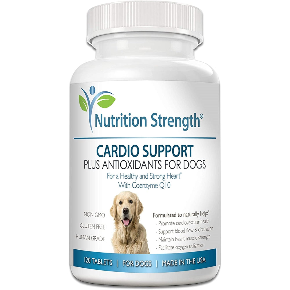 Vitaminas Antioxidante L-carnitina y vitamina E